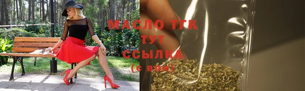 шишки Коряжма