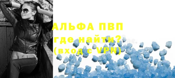 шишки Коряжма