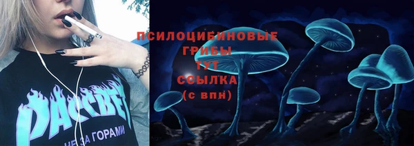 амф Костерёво