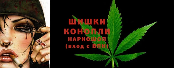 ПСИЛОЦИБИНОВЫЕ ГРИБЫ Корсаков
