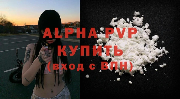шишки Коряжма