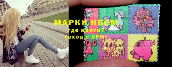 шишки Коряжма