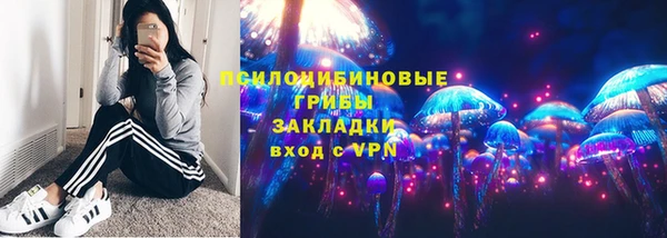 шишки Коряжма