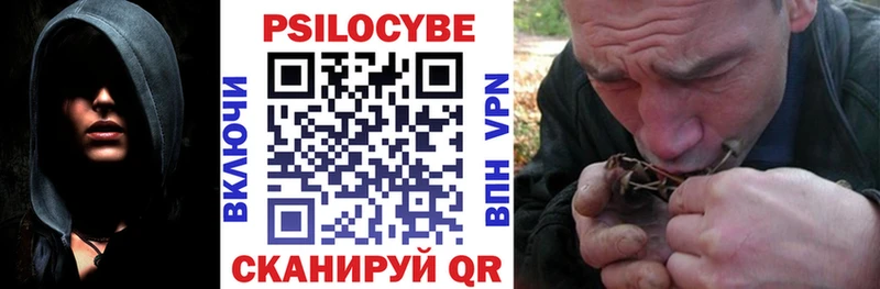 Галлюциногенные грибы Psilocybine cubensis  Купить  Луза 