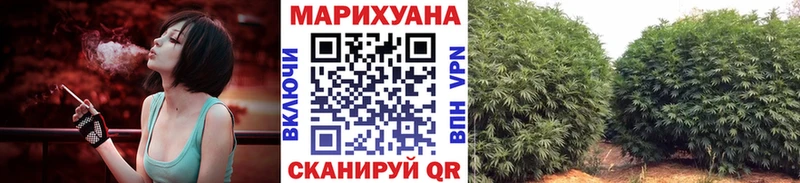 Купить закладки Луза Бошки марихуана White Widow